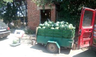 Производители на дини искат помощ от премиера (ВИДЕО+ СНИМКИ)