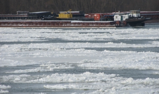 Загуби заради замръзналия Дунав
