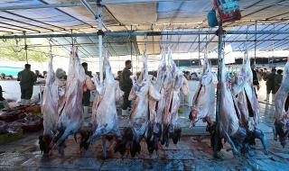Заклани животни, мухи и кръв: шокиращи кадри от пазари в Азия