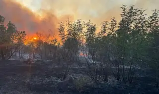 8000 дка вече горят в Сакар, верижни машини прокарват просеки