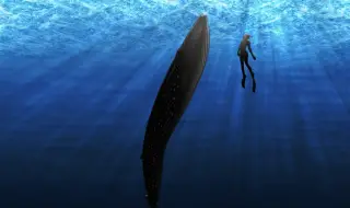 Защо китовете спят във вертикално положение?
