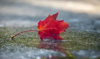 Weather today, forecast for Thursday, December 4: Cloudy and foggy, rains will start from the southwest in the evening 