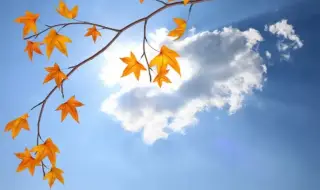 Времето днес, прогноза за събота, 13 декември: Мъгливо с малко слънце, температурите падат