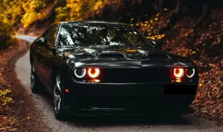 Американски мускули втора ръка от Пловдив