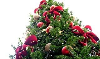 Най-високата елха ще грейне в Бургас