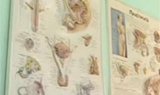 Откраднаха научен труд за уголемяване на мъжкия полов орган