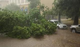 Мощна буря в Плевен и Хасково