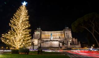 Рим стана за смях заради елха, струваща €50 000