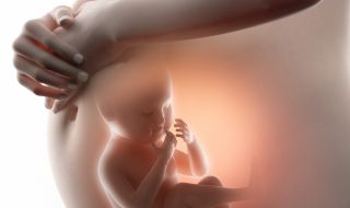 Биолози: Зачеването на дете от трима родители е безопасно