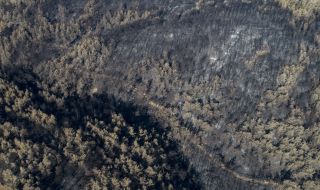 ПКК продължава с опитите за подпалване на гори в Турция