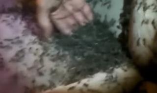 Не оставяйте автомобила си така... (ВИДЕО)