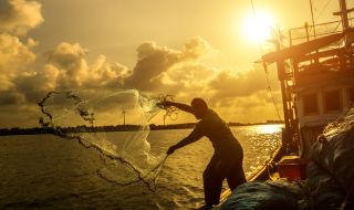 Неочакван улов препълни мрежите на рибарите от Бургаско