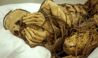 Откриха мумии на деца-принцеси, принесени в жертва