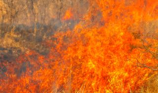 16,3 млн. евро са осигурени за борба с горските пожари в Хърватия