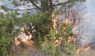 Голям пожар в Стара планина (обновена)