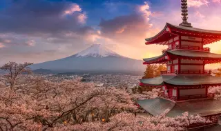 Защо поевтиняват пътуванията до Япония