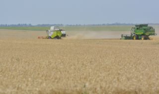 Зърнопроизводител: Виждаме внос от Украйна по тъмно и на затворено   