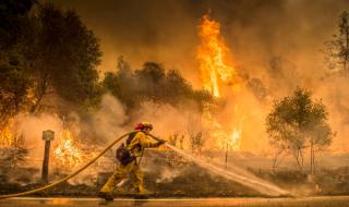 Огнена напаст в Калифорния