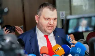 Peevski's flights caused an institutional shake-up and a wave of demands for resignations OVERVIEW 