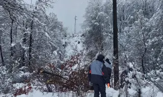 Power supply has been restored to a large part of the customers affected by the heavy snow in Western Bulgaria PHOTOS 