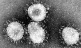 Историята на жената, която откри коронавируса