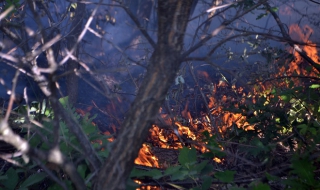 Бедствено положение в община Харманли заради пожара