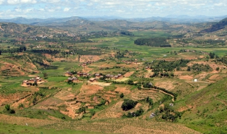 Мадагаскарски селяни убиха близо 100 крадци на добитък