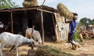 САЩ започнаха да прехвърлят военно оборудване в Нигерия