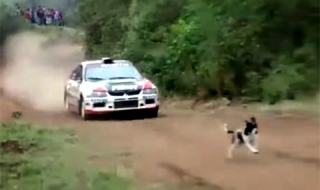 Роди ме, мамо, с късмет, пък ме хвърли под Evo!