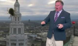 Паяк изкара акъла на синоптик и вечеря в ефир  (ВИДЕО)