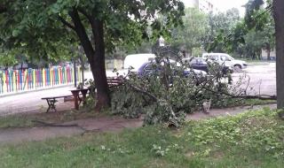 Ураган нанесе множество щети във Враца