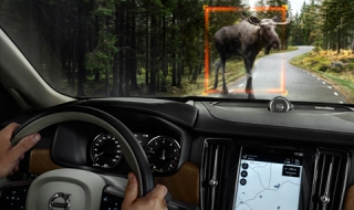 Volvo ще разпознава големи животни на пътя