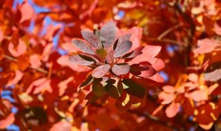 Облачна събота