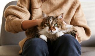 Котарак спаси живота на стопанката си