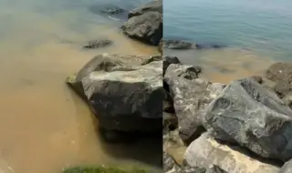 Фекалните води в Свети Влас: Собственици на апартаменти се оплакват от здравословни проблеми