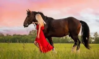 Модерните цветове в годината на Червения огнен кон