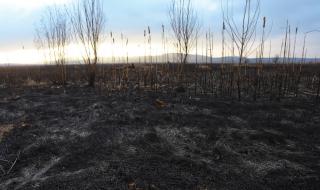 Пожар избухна до село Плана