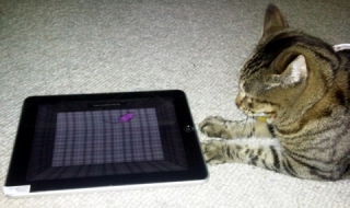 Котешки приложения за iPad