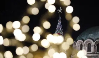 Sofia also shone with the Sofia Christmas Tree 