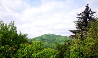 Слънчева сряда