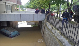 Зараза плъзна след потопа в Добрич