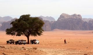 Как Саудитска Арабия накара и пустинята да цъфти