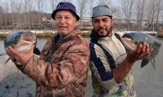 Засилени проверки на обектите за риба