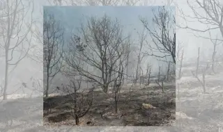 Овладяват огнената стихия край Благоевград и Хасково