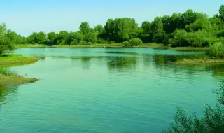 Свищов пред риск от воден режим заради спада на Дунав