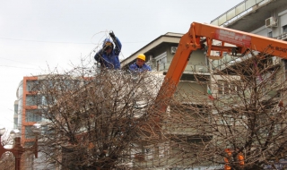 Над 400 хил. българи се трудят в други градове