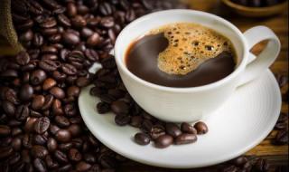 Пловдивчанин изпи най-скъпото кафе в живота си