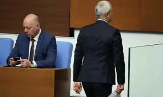 Костадинов: Питах Киселова как е, защото изглежда неадекватна, а тя застана на един крак като щъркел