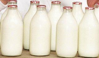 Родопското овче мляко е лечебно