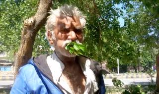 Мъж се храни с дървета от 25 години (ВИДЕО)